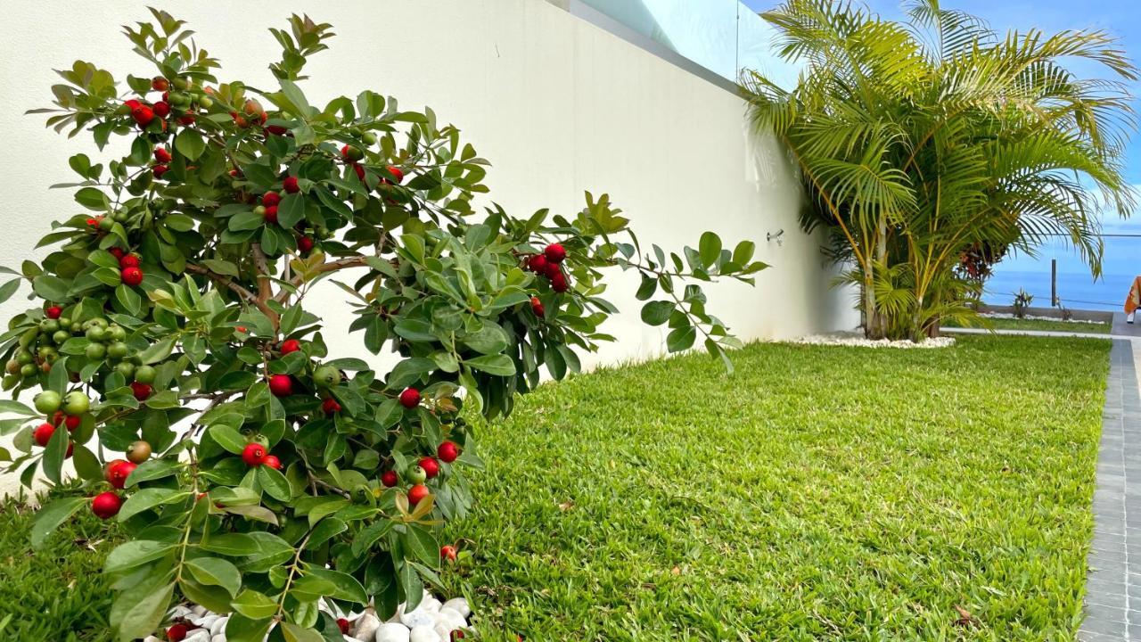 Holiday Apartment Sunset Ocean Ribeira Brava Exterior foto